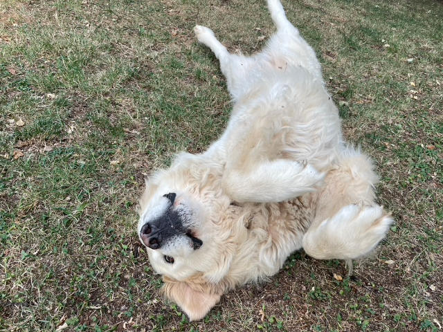 2025-abruzze-in-arte-42